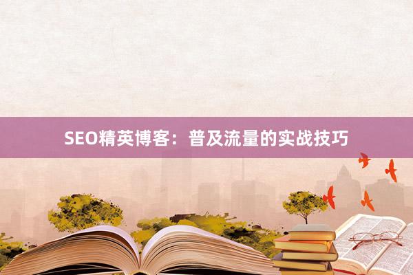 SEO精英博客：普及流量的实战技巧