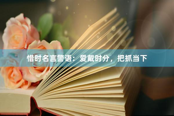 惜时名言警语：爱戴时分，把抓当下